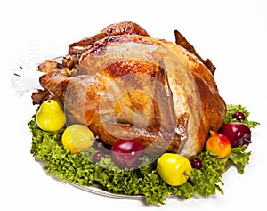 Roast Turkey