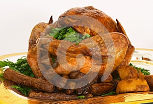 Roast turkey 3