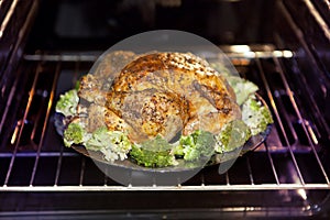 Roast turkey and cabbage