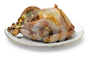 Roast turkey with stuffing