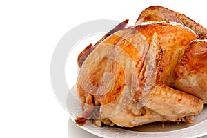 Roast turkey on white background