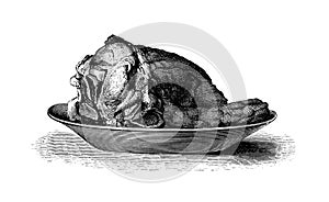 Roast veal | Antique Culinary Illustrations