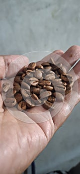 Roastbean Robusta coffee