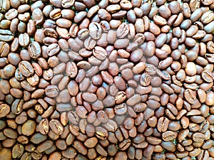 Roasted arabica gayo coffee beans