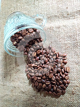 Roasted arabica gayo coffee beans in crystal cup