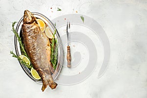 Roasted arctic char with lemon on plate. Delicious baked fish on a light background, banner, menu, recipe place for text, top view
