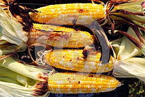 Roasted barbecue corn