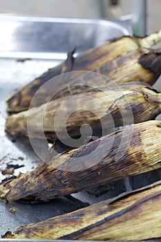 Roasted barbecue corn - grilled corn