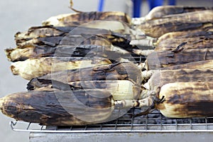 Roasted barbecue corn - grilled corn