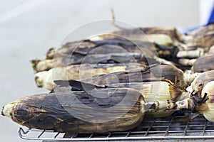 Roasted barbecue corn - grilled corn