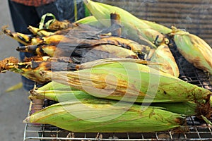 Roasted barbecue corn - grilled corn