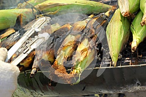 Roasted barbecue corn - grilled corn