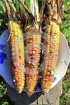 Roasted barbecue corn