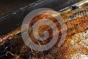 Roasted Barbery Duck