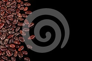 Roasted beans. Cocoa bean on black background.