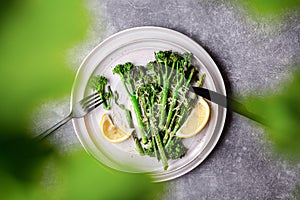 Roasted broccolini on the plate