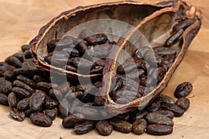 Roasted Cacao Beans