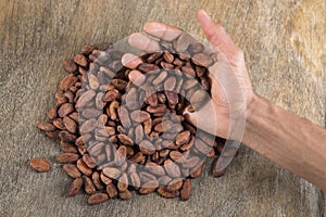 Roasted cacao beans