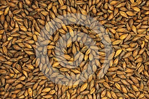 Roasted caramel malt background