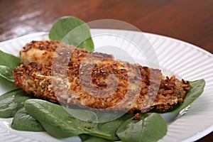 Roasted Catfish Filets