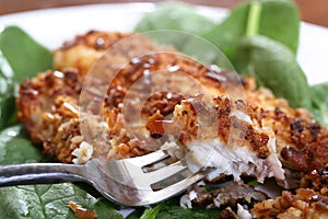 Roasted Catfish Filets