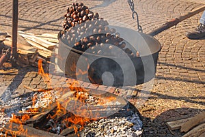 Roasted Chesnut, italian Caldarroste photo