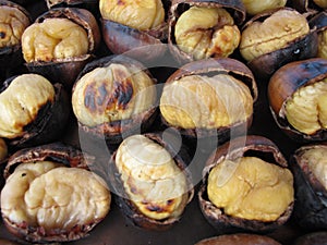 Roasted Chestnut