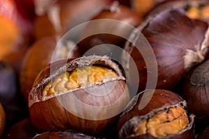 Roasted chestnut