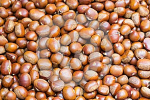 Roasted chestnut