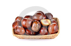 Roasted Chestnut on white background