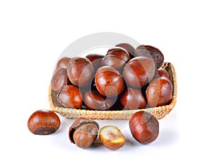 Roasted Chestnut on white background