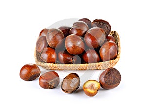 Roasted Chestnut on white background