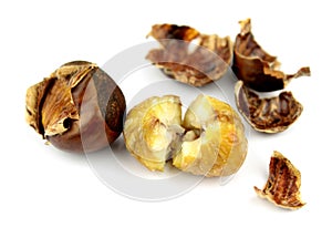 Roasted chestnuts with shells on white background