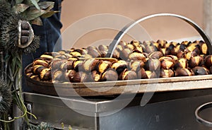 Roasted chestnuts on the surface of the brazier