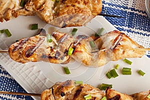 Roasted Chicken Kebab