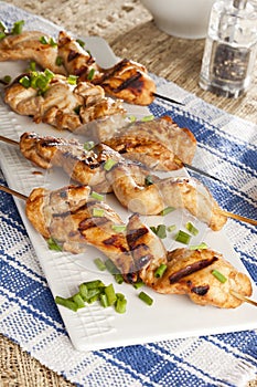 Roasted Chicken Kebab