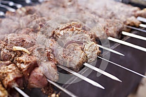 Roasted chicken meat with onion put on skewer outd