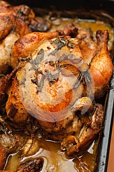 Roasted chicken with milk sauce and herbs