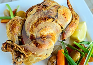 Roasted chicken with vegetables photo