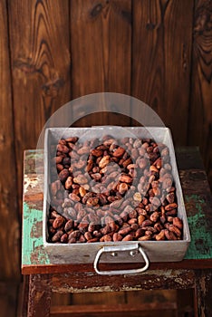 Roasted cocoa chocolate beans in Vintage heavy cast aluminum roa