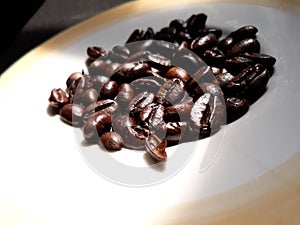 Roasted Coffee Bean