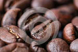 roasted coffee bean background extrime macro close up, top view