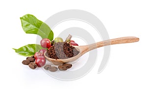 Roasted coffee bean and fesh coffee bean on white background