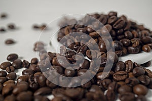 Roasted coffee bean isolated and against white background