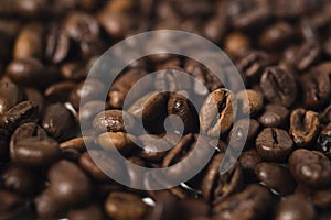 Roasted coffee bean isolated and against white background