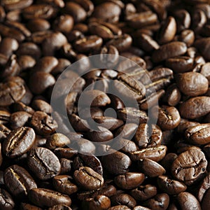 Roasted coffee beans