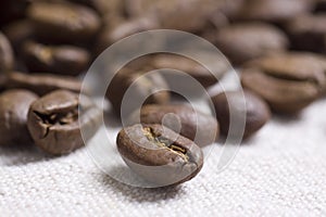 Roasted coffee beans