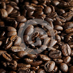 Roasted coffee beans