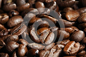 Roasted coffee beans