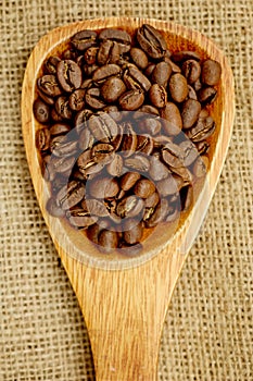 Roasted Coffee Beans